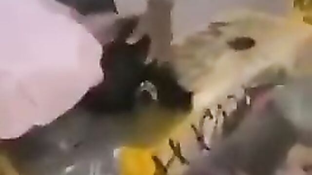 Crazy Couple Roadside Threesome Sex And Blow Job In Public - 5 image