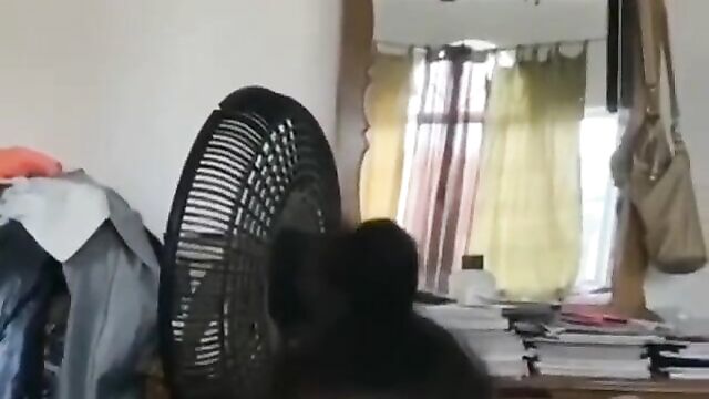 School girl giving her teacher blow job after school - 5 image