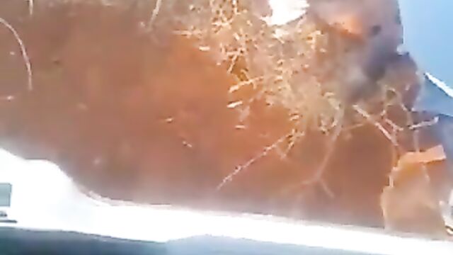 2 Mzansi SHS students caught having sex after school! Part 1 - 3 image