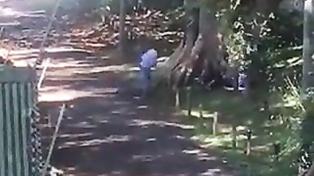 African couple caught and beaten for having sex in public under a tree – Part 2 - 1 image