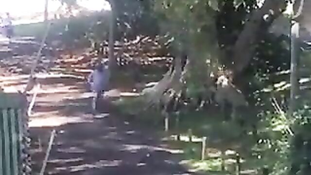 African couple caught and beaten for having sex in public under a tree – Part 2 - 4 image