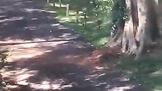 African couple caught and beaten for having sex in public under a tree – Part 2 - 5 image