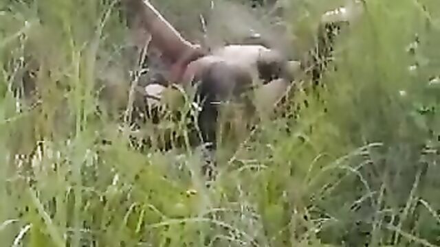 Naked couple caught having sex in the bush without condom in public - 1 image