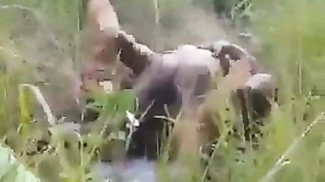 Naked couple caught having sex in the bush without condom in public