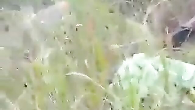 Naked couple caught having sex in the bush without condom in public - 5 image