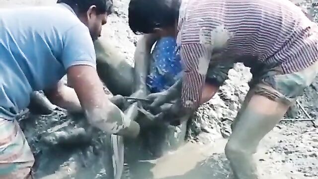 LOL: Fish bites man’s private part