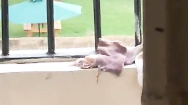Party SEX in Kenyan resort – Part 2 - 1 image