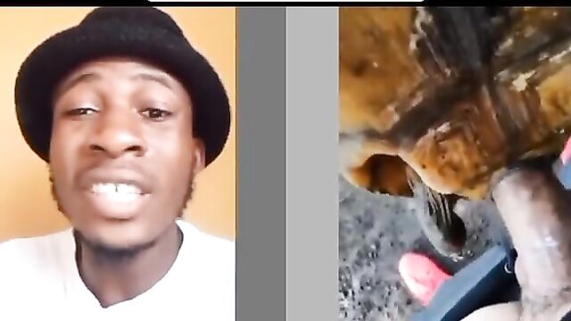 Man having sex with tortoise for money ritual - 3 image