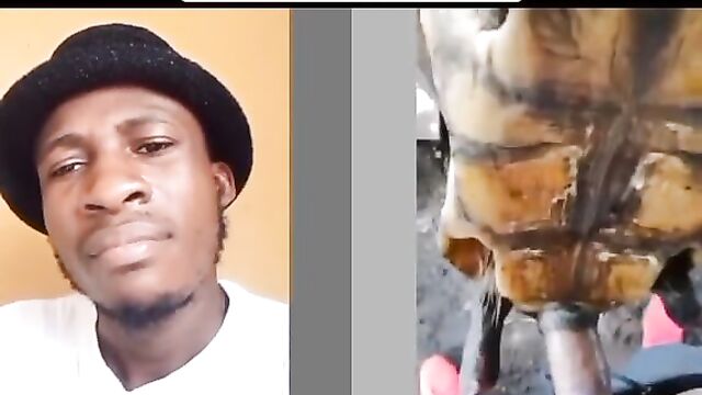 Man having sex with tortoise for money ritual - 4 image