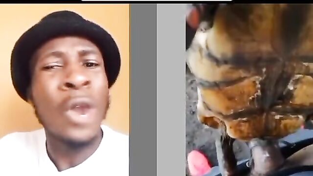 Man having sex with tortoise for money ritual - 5 image