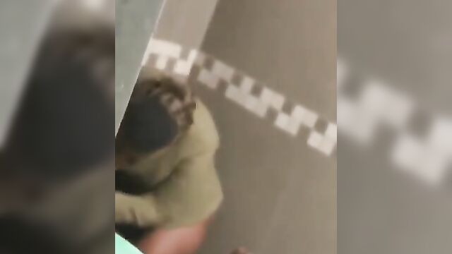 Crazy Threesome Sex Standing with Ebony Couple - Part 1 - 2 image