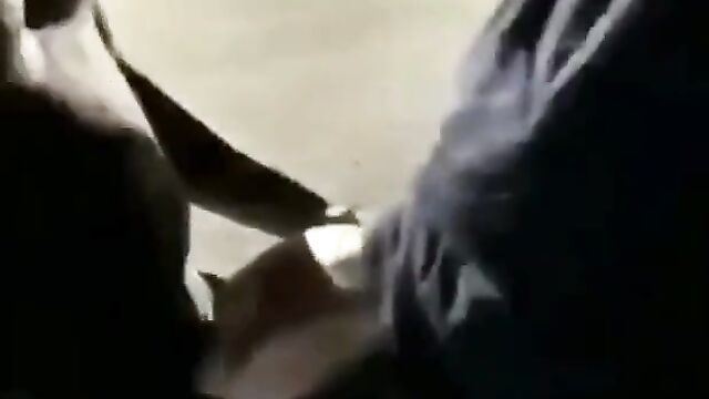 Crazy couple caught bonking in public