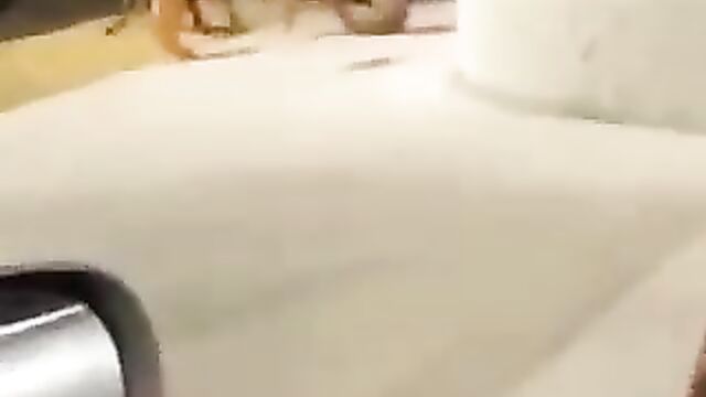 Crazy girls fighting naked in public - 1 image