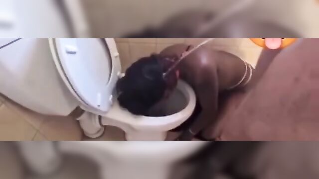 BDSM Sex pervert walks black whore like a dog and pees on her with her head in the toilet
