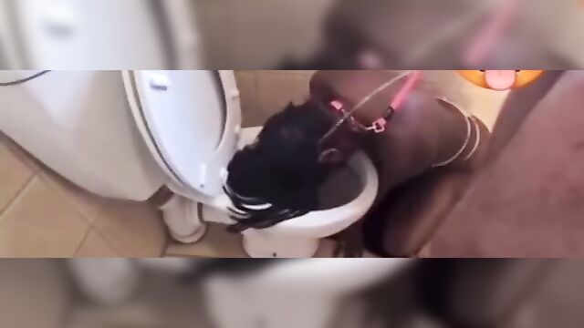 BDSM Sex pervert walks black whore like a dog and pees on her with her head in the toilet - 5 image