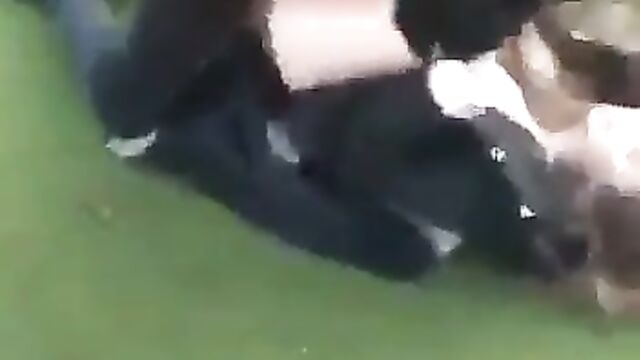 British student getting bonked outside school - 1 image