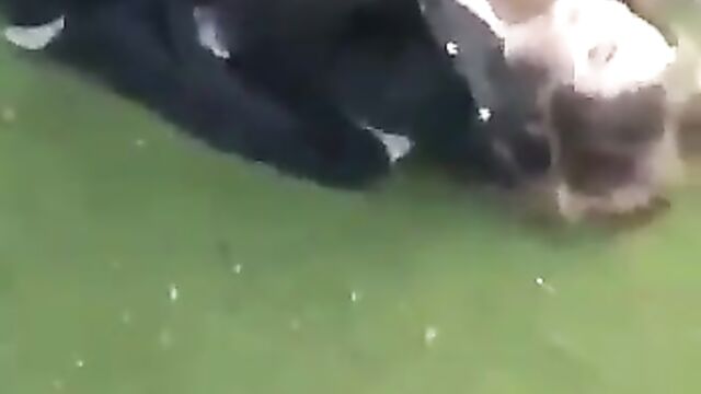 British student getting bonked outside school