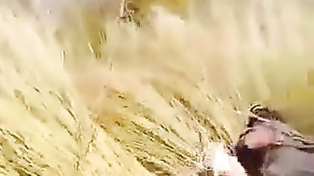 Couple Caught Red-handed Having Sex In Long Grass - 1 image