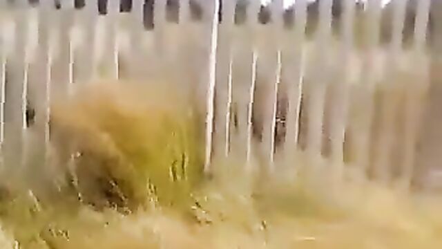 Couple Caught Red-handed Having Sex In Long Grass - 3 image