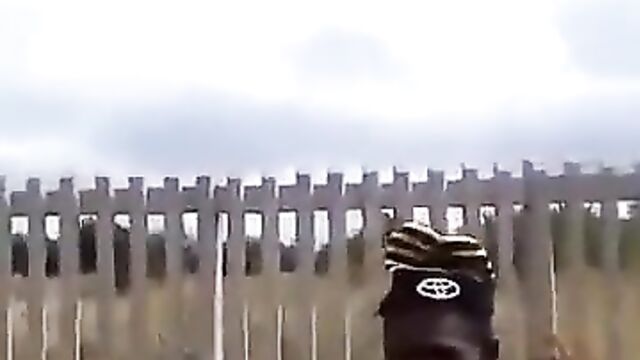 Couple Caught Red-handed Having Sex In Long Grass - 5 image