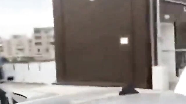 Couple caught bonking in public in broad daylight - 3 image