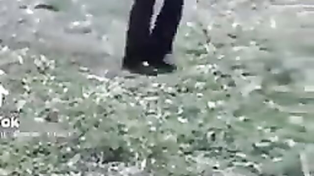 Man caught while trying to bang a sheep! - 1 image