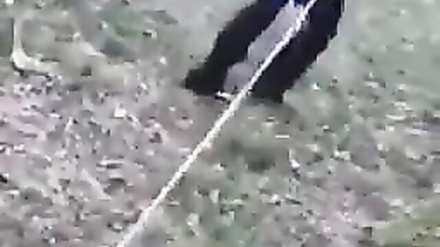 Man caught while trying to bang a sheep!