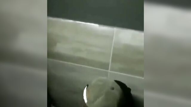 Horny couple having sex in hotel toilet after drinking - 3 image