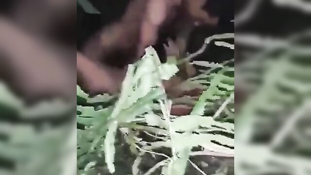 Indian horny couple caught having sex in the bush at night - 3 image