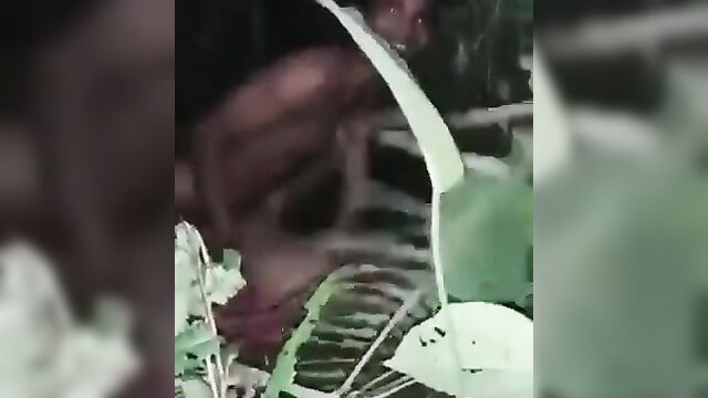 Indian horny couple caught having sex in the bush at night - 4 image