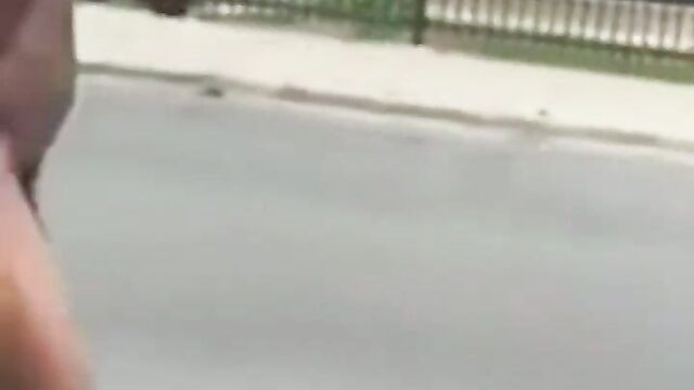 Man caught walking naked on busy road - 3 image