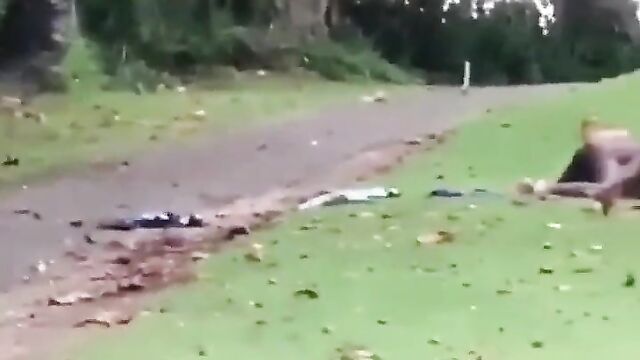 Naked South African couple caught having sex in the bush and running away – Part 2 - 1 image