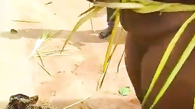 Widow stripped naked for picking snails in Enugu, Nigeria - 3 image