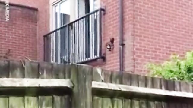 LOL! Half naked boyfriend tries to escape through the window after angry husband caught him cheating with his wife! - 4 image