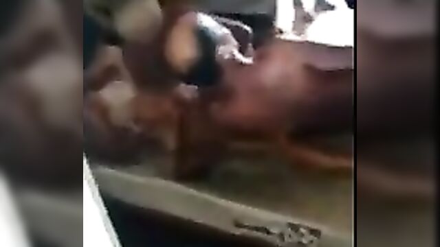 Whore And Old Men Threesome Sex Tape Leaked - 4 image