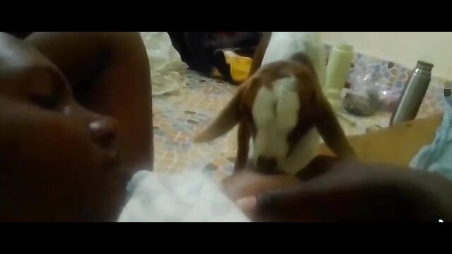 African TikTok Influencer Caught Breastfeeding A Goat In Public - 4 image