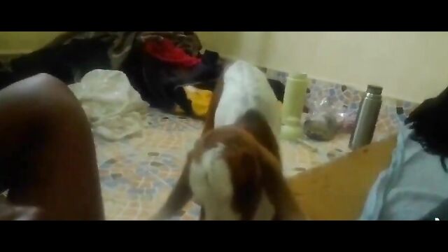 African TikTok Influencer Caught Breastfeeding A Goat In Public - 5 image