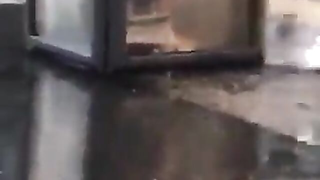 Couple Caught Having Doggy Style Sex In Phone Booth In Public - 3 image