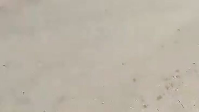 Naked Woman With Pointed Breasts Protesting In Public Gets Shot By Nigerian Police - 5 image