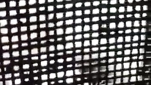 Indian Couple Busted While Fucking In The Toilet - 4 image