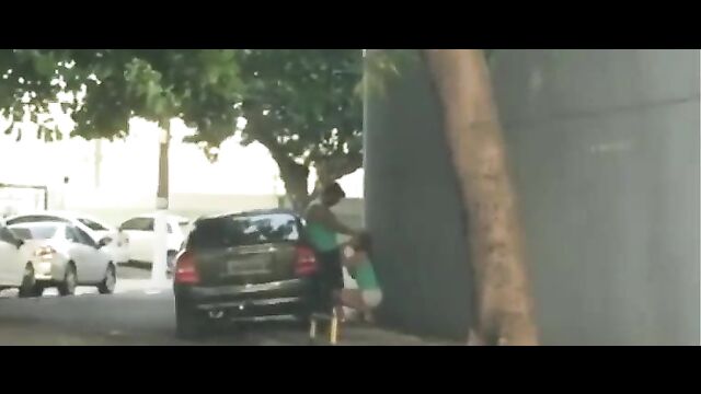 Couple Caught Having Sex In Public In Broad Daylight - 5 image