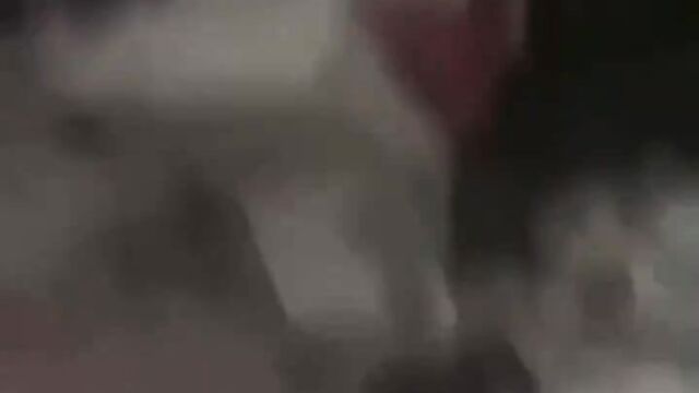 Mzansi Couple Caught Red-handed Having Sex And Busted - 5 image