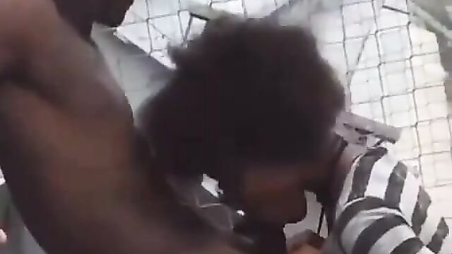 Crazy Black Couple Caught Having Sex In A Stadium In Public In Broad Daylight - 3 image