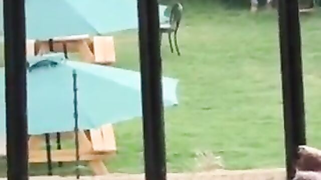 Mzansi Couple Caught Having Sex In Public Park - 4 image