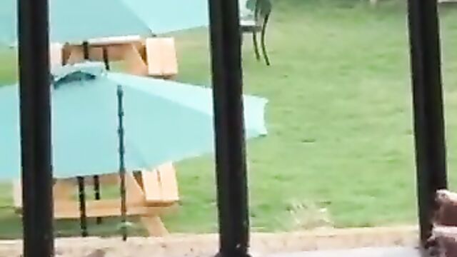 Mzansi Couple Caught Having Sex In Public Park - 5 image