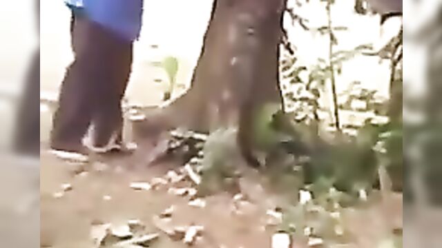 Wife Stripped Naked In Public And Tied To A Tree For Cheating - 4 image