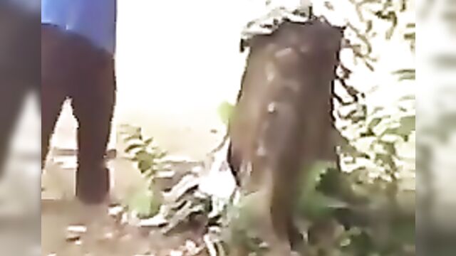 Wife Stripped Naked In Public And Tied To A Tree For Cheating - 5 image