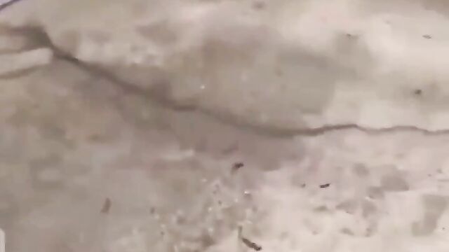 Husband Caught Wife Cheating And Getting Fucked On Their Matrimonial Bed