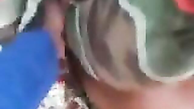 She Squeezed His Dick And Made Him Cum As He Was Playing With Her Boobs In The Bush In Public - 4 image