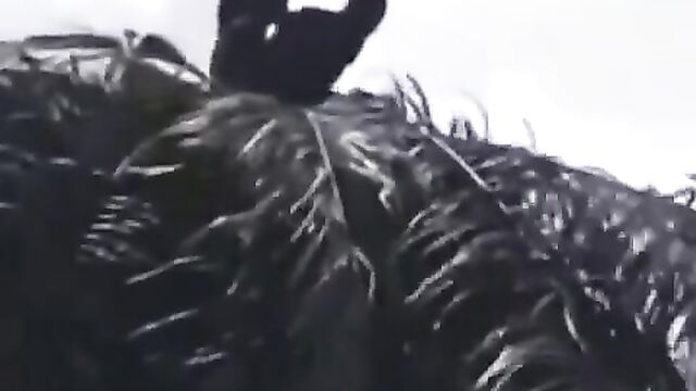 2 Gay Men Caught Having Sex On Top Of A Palm Tree - 3 image